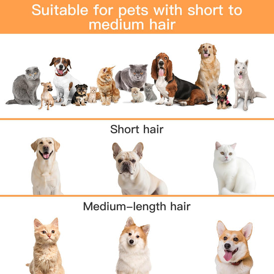 AIRROBO dog grooming vacuum with 7 grooming tools and 12000Pa suction power.