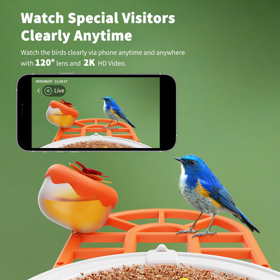 HARYMOR wildlife feeder — Bird feeder with camera and AI species identification