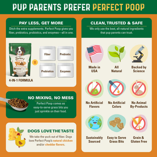 Animal nutritional supplement — Digestive health support for dogs with prebiotics and probiotics