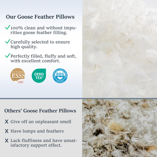 COZSINOOR goose feather bed pillows with soft support