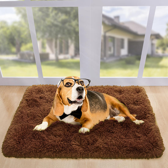 Noahas shag rug — soft and non-slip for bedroom or living room