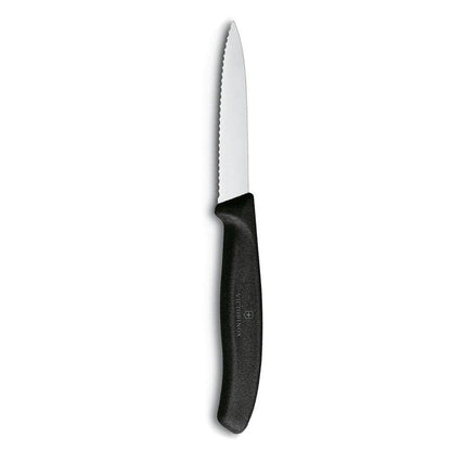 Victorinox kitchen knife — 3.25 inch Swiss Classic paring with straight edge, spear point