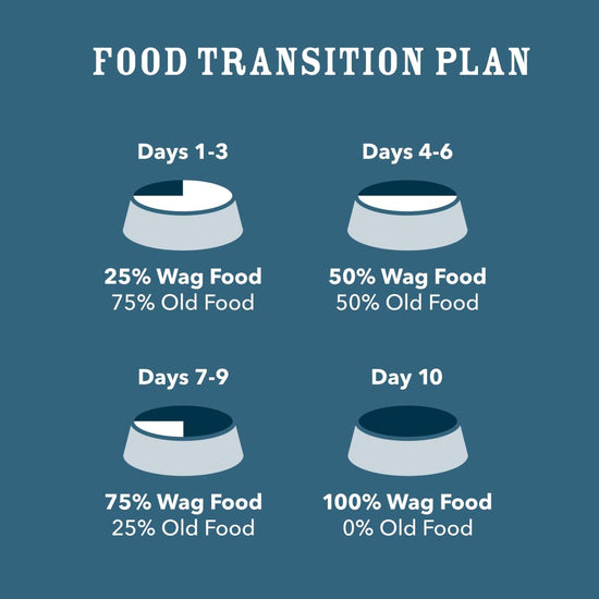 Wag dry dog food — wholesome grains formula