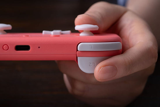 8BitDo Lite 2 Bluetooth gamepad — compatible with multiple platforms