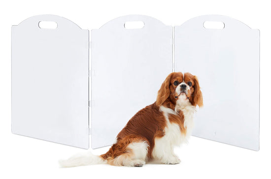 Dog gate - Clear acrylic freestanding design for doorways and inside use