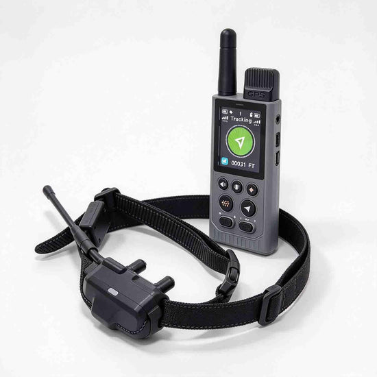 Smart GPS Dog Fence System, Gray