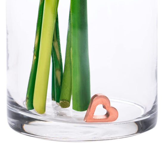 Copper charm flower food alternative for fresh cut blooms - Reusable vase insert