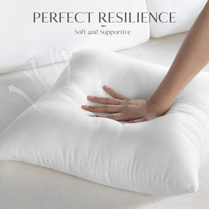 Ashler Outdoor Pillows, 18 x 18 Waterproof Pillow Inserts Set of 4