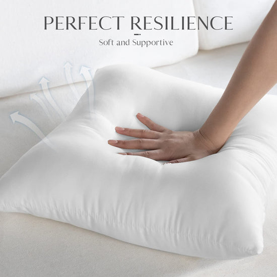 Ashler Outdoor Pillow Inserts, 18x18 Waterproof Throw Pillows Pack of 2