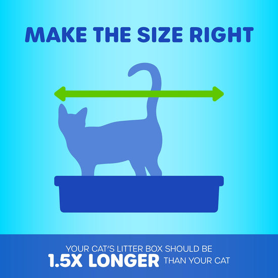 Petmate litter box — basic design