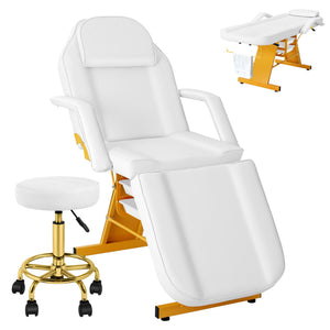 Tythical Tattoo Facial Chair for Clients, Multi-Purpose Esthetician Lash Wax Bed with Adjustable Backrest &Armrests, Professional Beauty Salon Spa Chair for Tattoo Shop Massage Furniture, White Glod