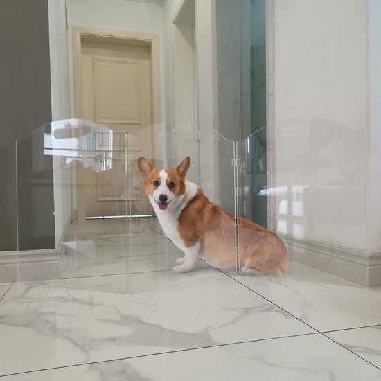 Dog gate - Clear acrylic freestanding design for doorways and inside use