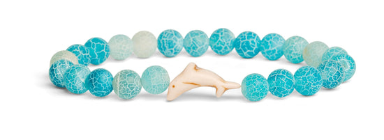Fahlo dolphin tracking bracelet — supports FIU marine conservation