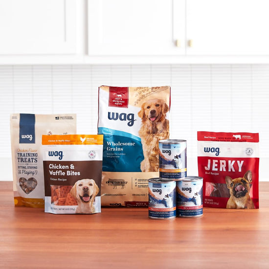 Wag dry dog food — wholesome grains formula