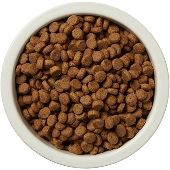 Wag dry dog food — wholesome grains formula