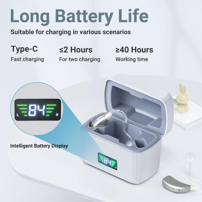 RlsitKee hearing amplifier — portable charging case and rotary volume control