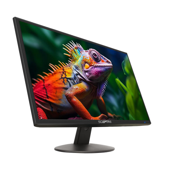 Sceptre 24-inch monitor — 1080p LED with built-in speakers and 99% sRGB