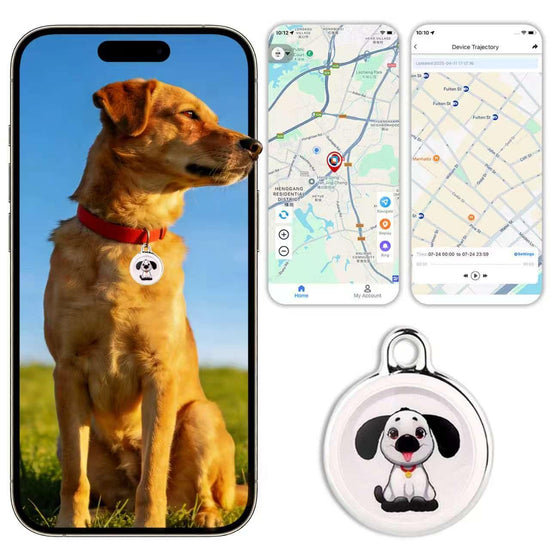 Location tracker — No subscription required, compatible with iOS and Android