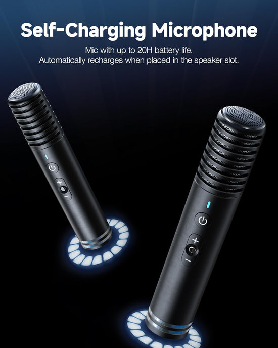 Ikarao karaoke machine — portable with lyrics display and wireless microphones