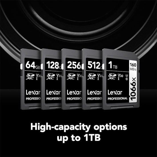 Flash memory — Lexar Professional 1066x 64GB SDXC UHS-I card silver series