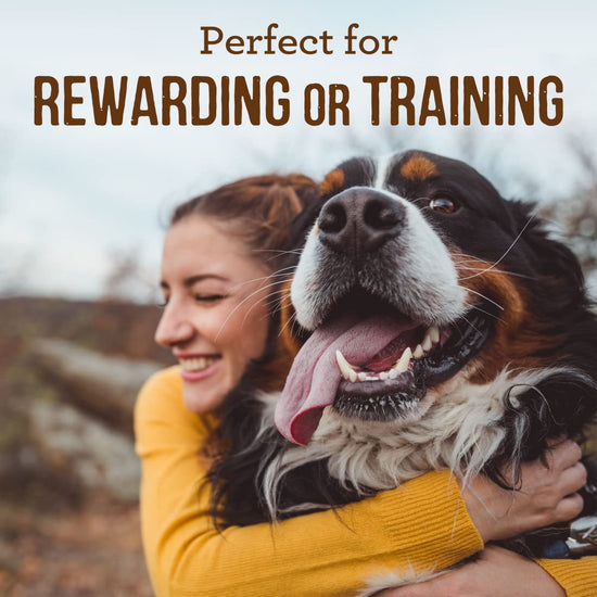 Dog treats — power bites from the brand Power Bites