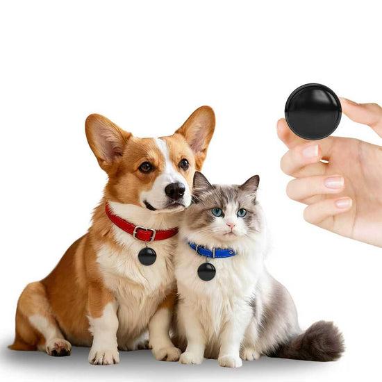 GPS tracker — no monthly subscription and waterproof design with magnetic mount