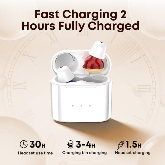 Rechargeable Digital Hearing Aids for Seniors, 2 Channel Ear Amplifier, Clear Sound Quality with Noise Cancellation, In Ear Hearing Aids, Invisible Sound Amplifier