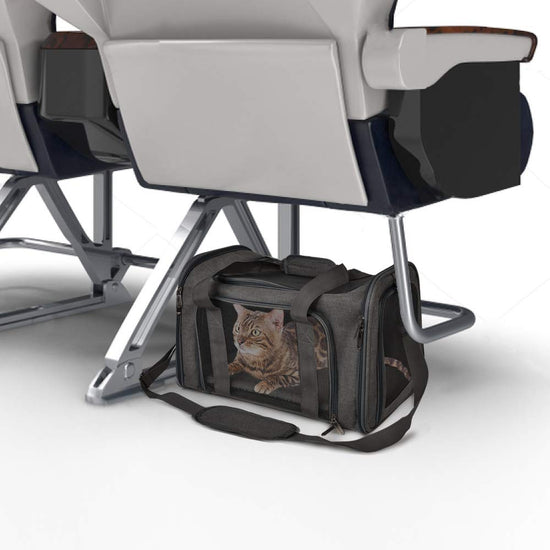 Henkelion animal carrier — TSA airline approved, soft sided design, collapsible