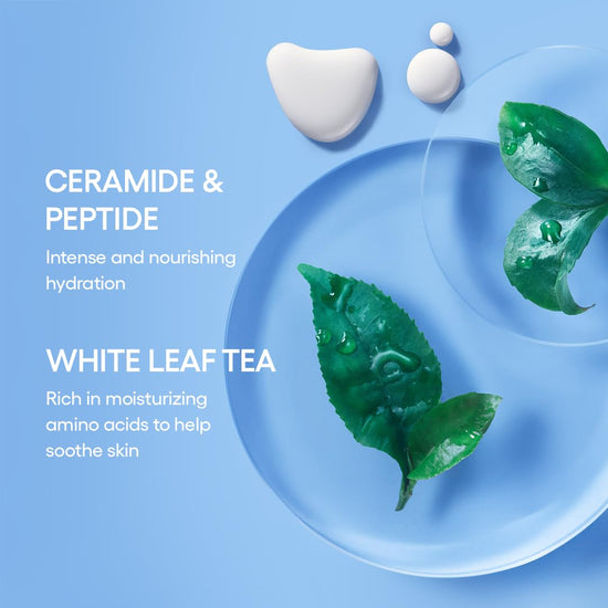 LANEIGE cream skin toner — lightweight refillable toner with ceramide and peptide