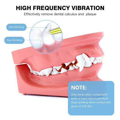 Dental Care Device, 3 Adjustable Modes, Waterproof, USB Rechargeable