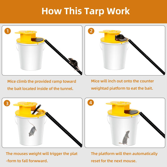 3pc Bucket Mouse Trap - Mouse Traps Indoor for Home - ABS Material