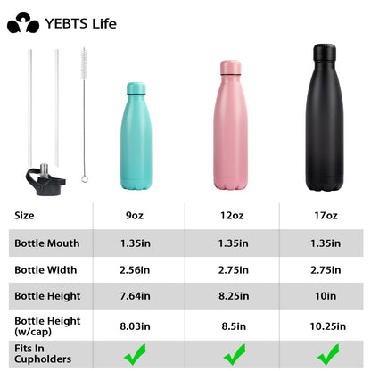 Thermos — Insulated stainless steel water bottles with straw lid, 2 pack, 17oz.