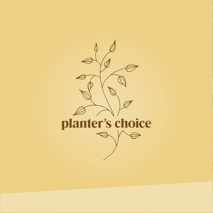 Plant seed — Planter's Choice bonsai tree kit for beginners and plant lovers