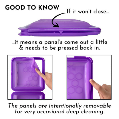Big Bee, Little Bee food storage container — SoftShell reusable silicone design