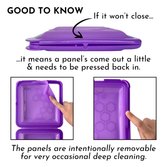 Big Bee, Little Bee food storage container — SoftShell reusable silicone design