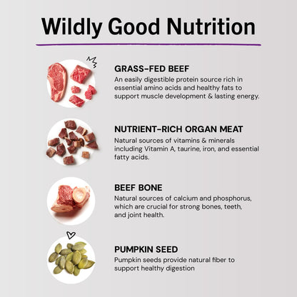 Stella & Chewy's freeze-dried raw cat dinner morsels — grain free and protein rich food