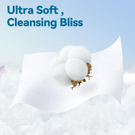 Winner Winner facial tissue — 100% USDA biobased material