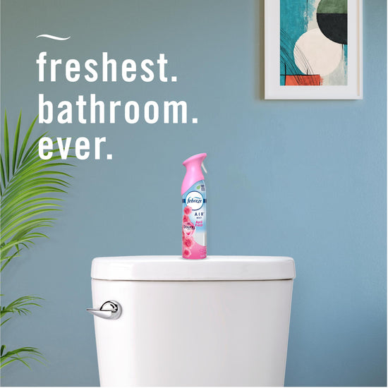 FBRZ AIR area deodorizer — linen and sky scent 6/2x8.8oz