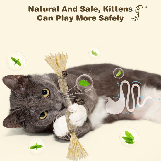 SINROBO 4 Pack Silvervine Sticks for Cats - Cat Chew Toy for Teeth Cleaning, Edible Matatabi Kitty Chew Sticks, Catnip Cat Toys for Indoor Cats (4 Sticks)