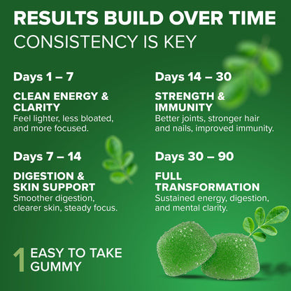 Herbal supplement — Rosabella moringa gummies with natural energy and balance 30 count