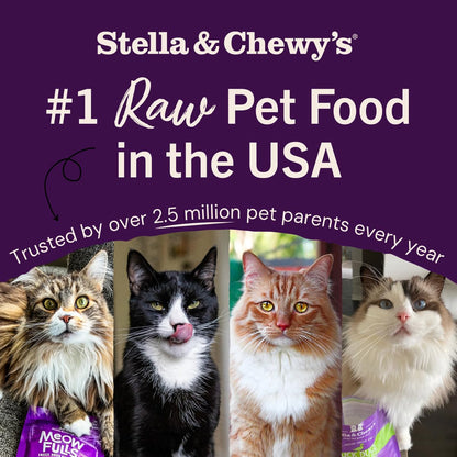 Stella & Chewy's freeze-dried raw cat dinner morsels — grain free and protein rich food