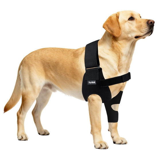 FurWell Dog Elbow Brace Protector with Decoupled Chest Strap - Breathable, Abrasion-Resistant - Adjustable Elbow Support for Hygroma, Dysplasia, Arthritis, Calluses & Shoulder Instabilit(Left Leg, L)