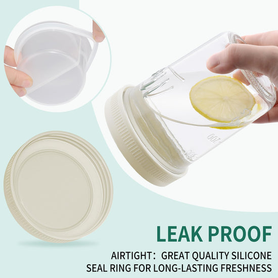 Xyptorix food storage container — Leak-proof overnight oat container with lid