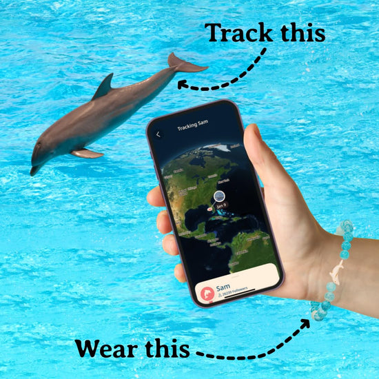 Fahlo dolphin tracking bracelet — supports FIU marine conservation