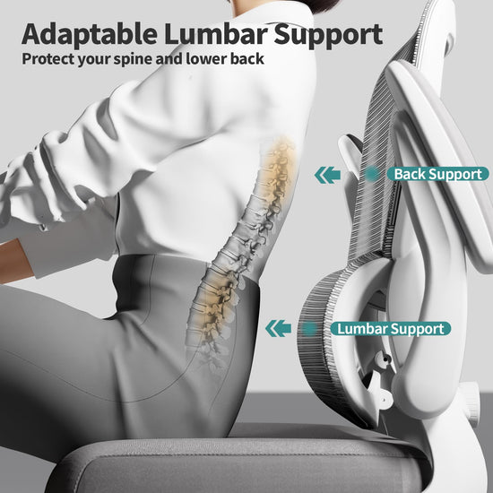 TRALT office chair — ergonomic chair with adjustable lumbar support