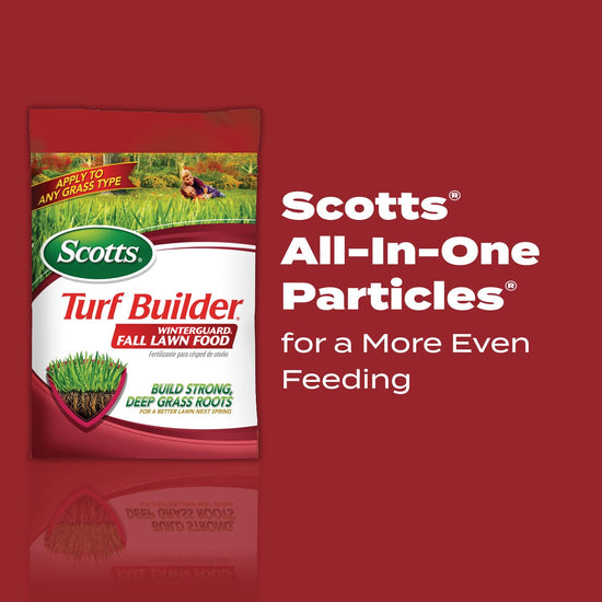 Scotts fertilizer for grass root development.