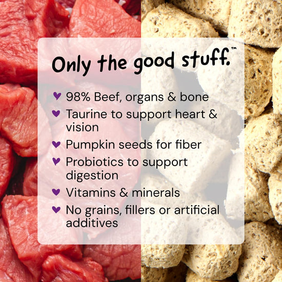 Stella & Chewy's freeze-dried raw cat dinner morsels — grain free and protein rich food