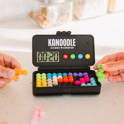Educational Insights Kanoodle 3D brain teaser puzzles - Ultimate champion edition