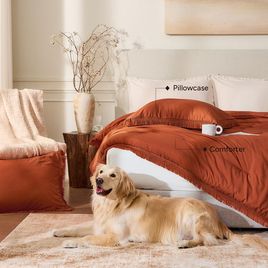 Andency bedding set — Boho tassel comforter for kids and teens