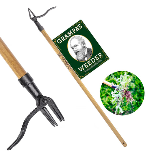 Grampa's weeder - Stand up weed puller tool with bamboo handle and steel head design